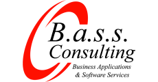 B.a.s.s.-Consulting GmbH Logo; auf Startseite gehen